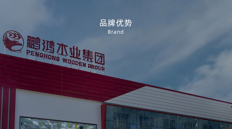 板材品牌、全屋定制品牌、生態(tài)板十大品牌